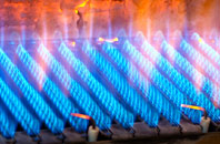 Wiston gas fired boilers